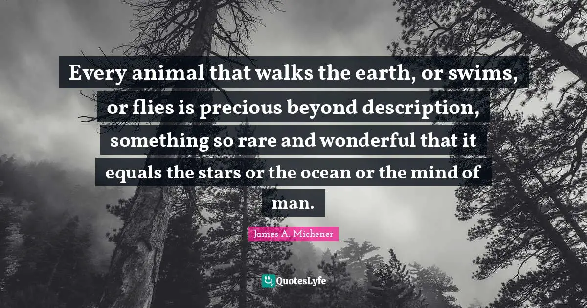 Every animal that walks the earth, or swims, or flies is precious beyond description, something so rare and wonderful that it equals the stars or the ocean or the mind of man.