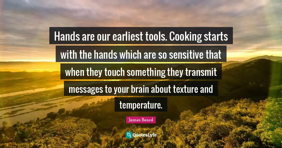 Hands are our earliest tools. Cooking starts with the hands which are so sensitive that when they touch something they transmit messages to your brain about texture and temperature.