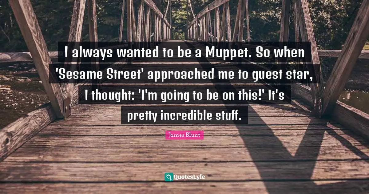 I always wanted to be a Muppet. So when 'Sesame Street' approached me to guest star, I thought: 'I'm going to be on this!' It's pretty incredible stuff.