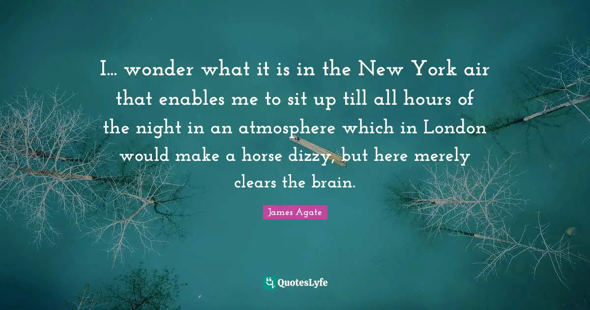 I... wonder what it is in the New York air that enables me to sit up till all hours of the night in an atmosphere which in London would make a horse dizzy, but here merely clears the brain.