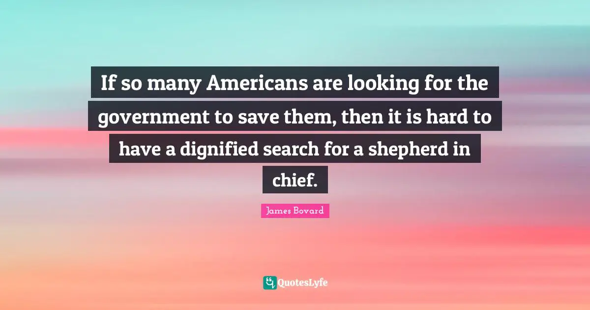 If so many Americans are looking for the government to save them, then it is hard to have a dignified search for a shepherd in chief.