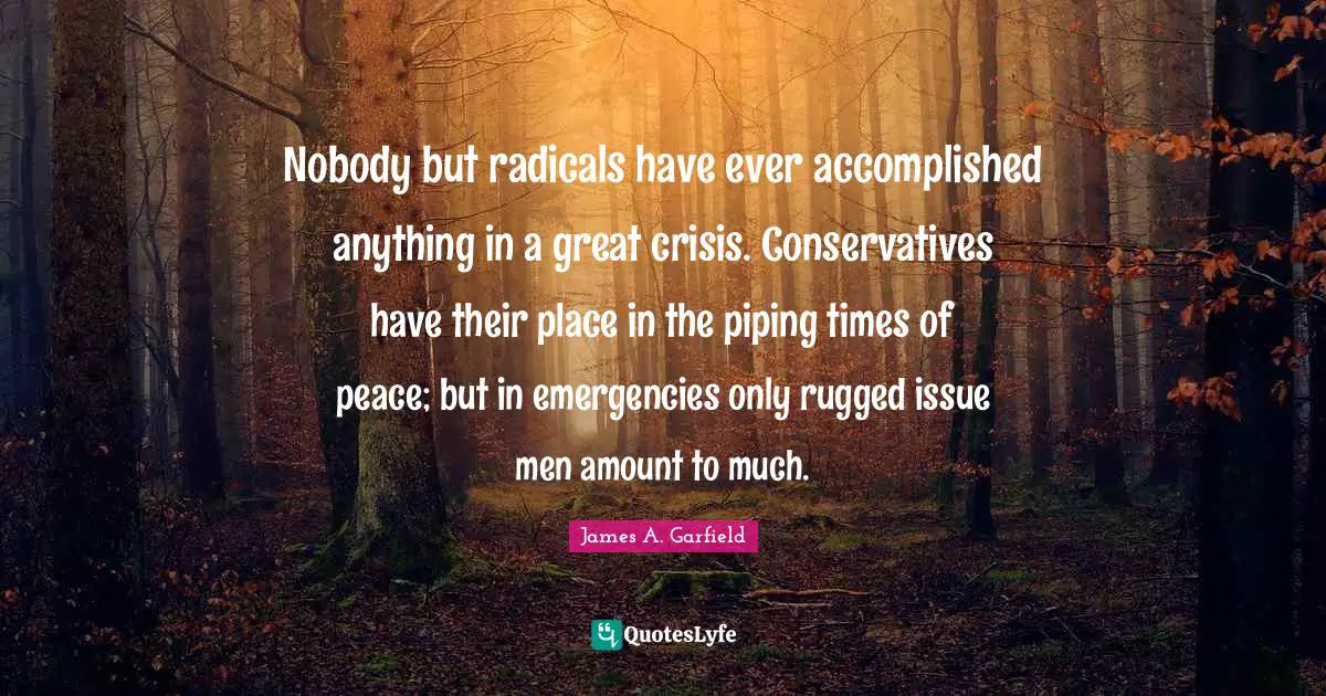 Nobody but radicals have ever accomplished anything in a great crisis. Conservatives have their place in the piping times of peace; but in emergencies only rugged issue men amount to much.