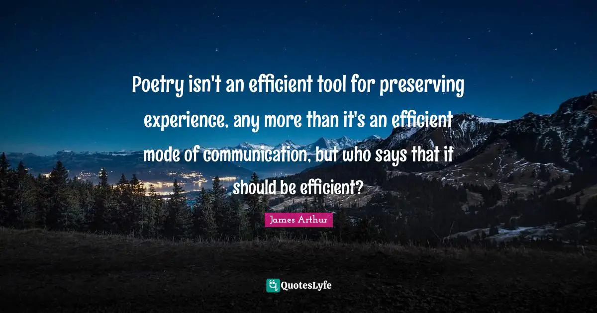 Poetry isn't an efficient tool for preserving experience, any more than it's an efficient mode of communication, but who says that it should be efficient?