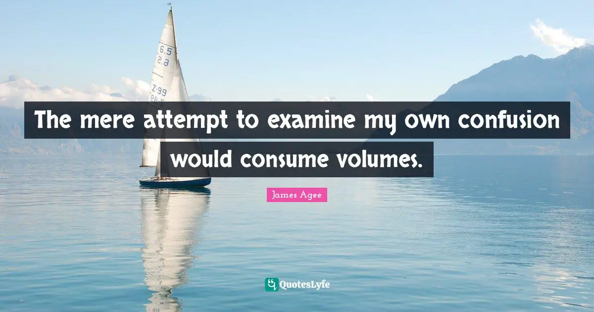 The mere attempt to examine my own confusion would consume volumes.