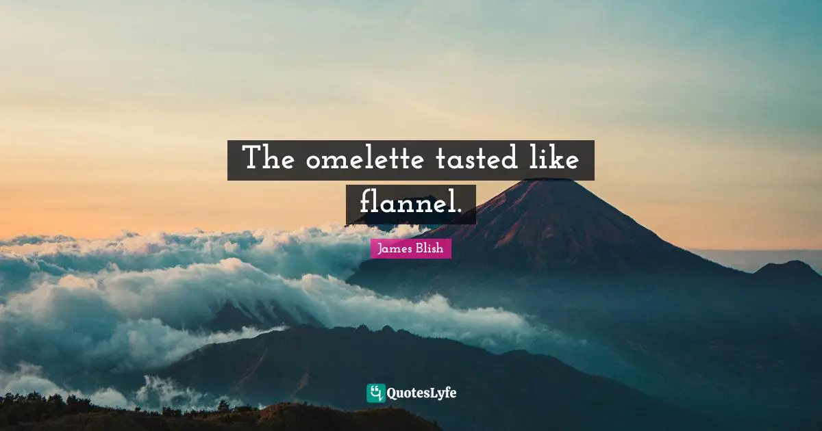 The omelette tasted like flannel.