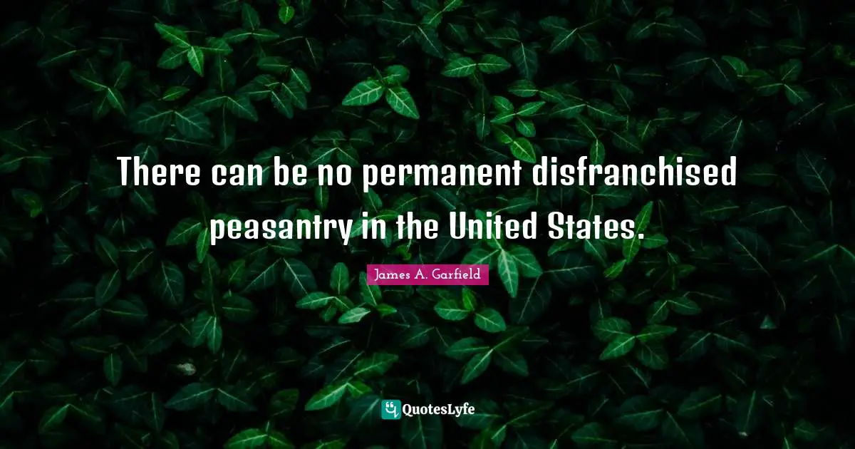 There can be no permanent disfranchised peasantry in the United States.