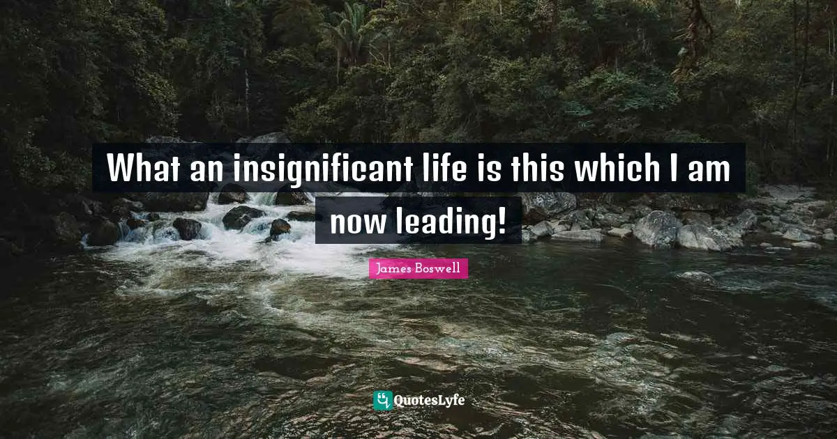 What an insignificant life is this which I am now leading!