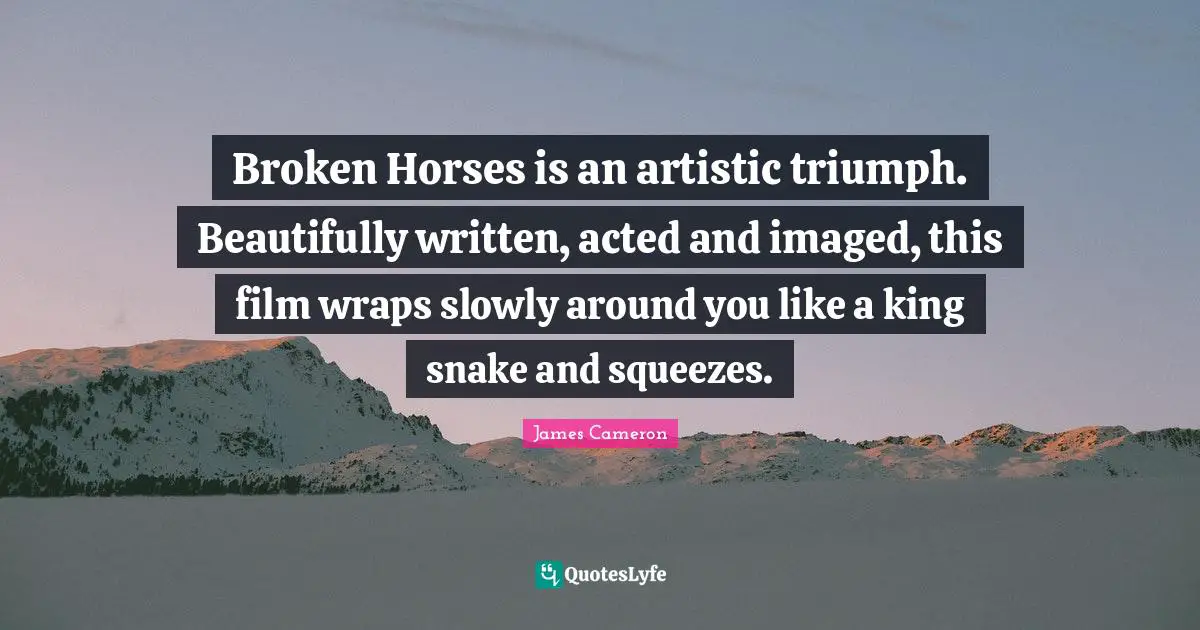 Broken Horses is an artistic triumph. Beautifully written, acted and imaged, this film wraps slowly around you like a king snake and squeezes.