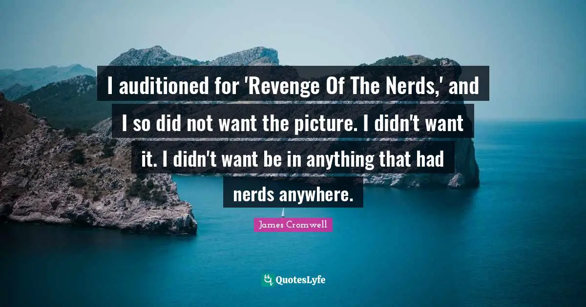 I auditioned for 'Revenge Of The Nerds,' and I so did not want the picture. I didn't want it. I didn't want be in anything that had nerds anywhere.