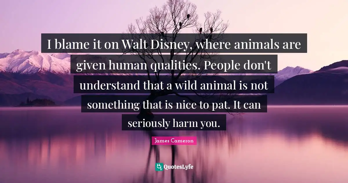 I blame it on Walt Disney, where animals are given human qualities. People don't understand that a wild animal is not something that is nice to pat. It can seriously harm you.