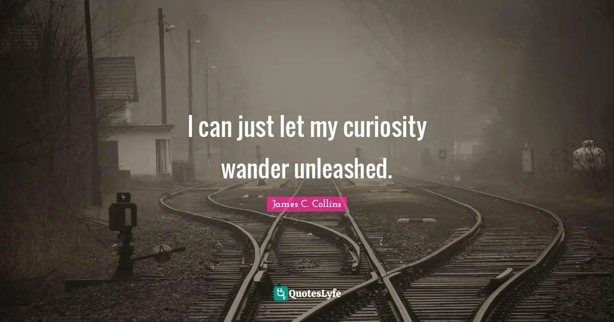 I can just let my curiosity wander unleashed.