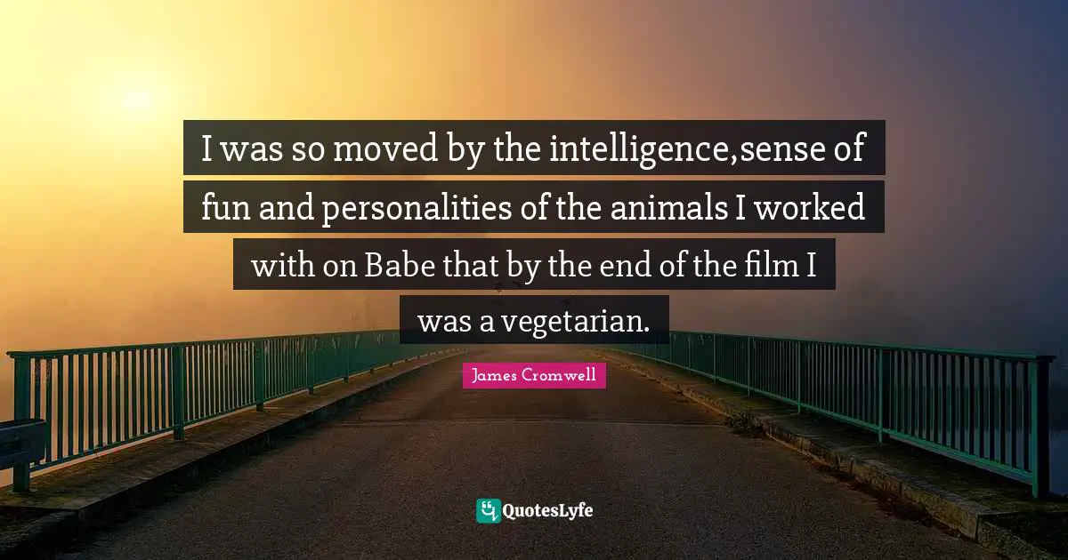 I was so moved by the intelligence,sense of fun and personalities of the animals I worked with on Babe that by the end of the film I was a vegetarian.