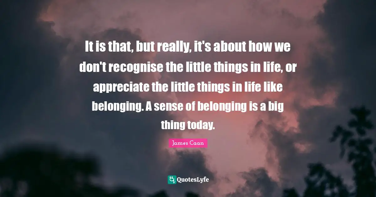 James Caan Quotes: "It is that, but really, it's about how we don't recognise the little things in life, or appreciate the little things in life like belonging. A sense of belonging is a big thing today."