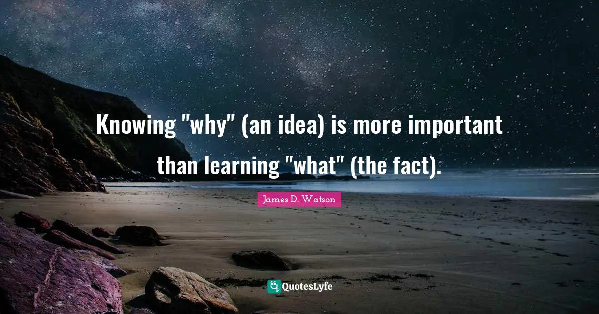 Knowing "why" (an idea) is more important than learning "what" (the fact).