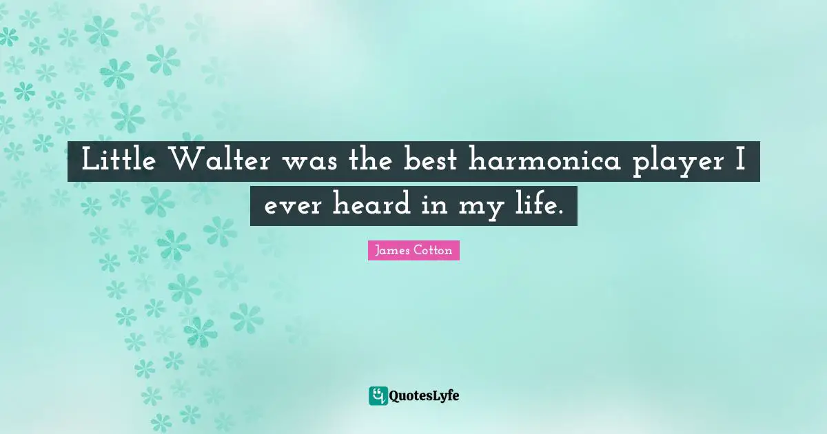 Little Walter was the best harmonica player I ever heard in my life.
