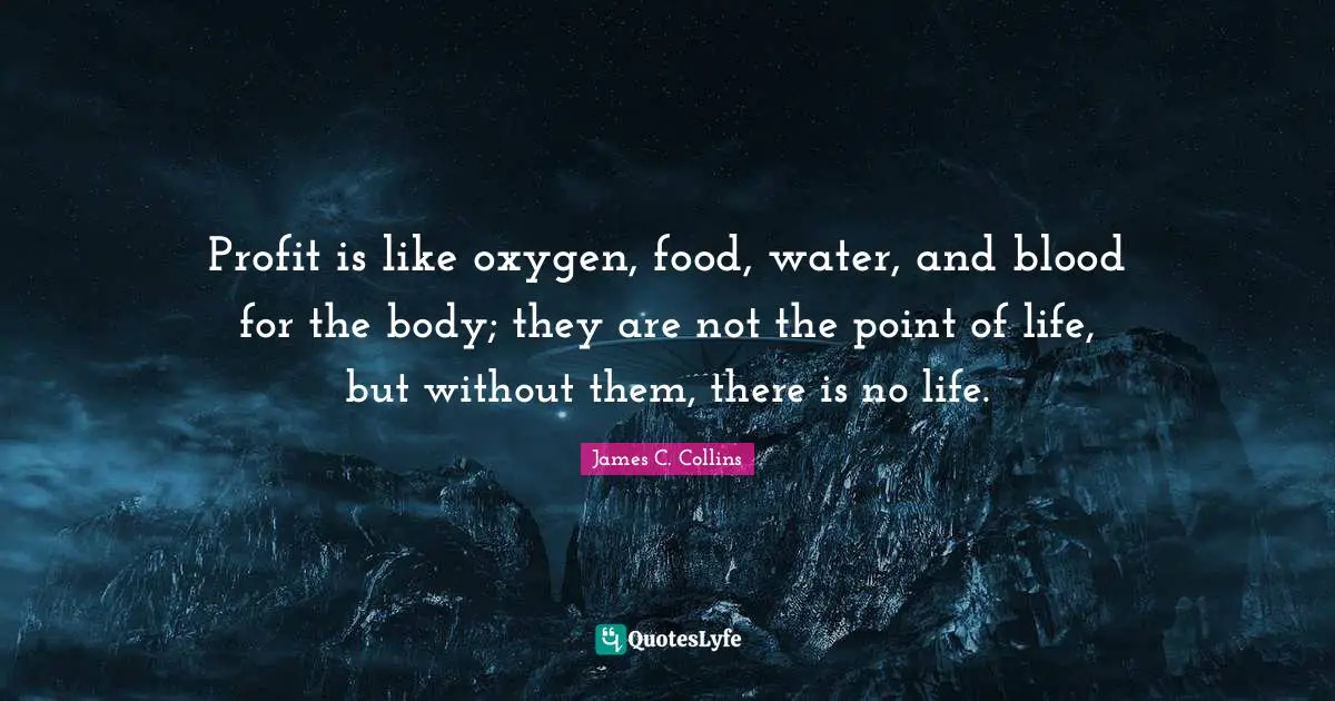 Profit is like oxygen, food, water, and blood for the body; they are not the point of life, but without them, there is no life.