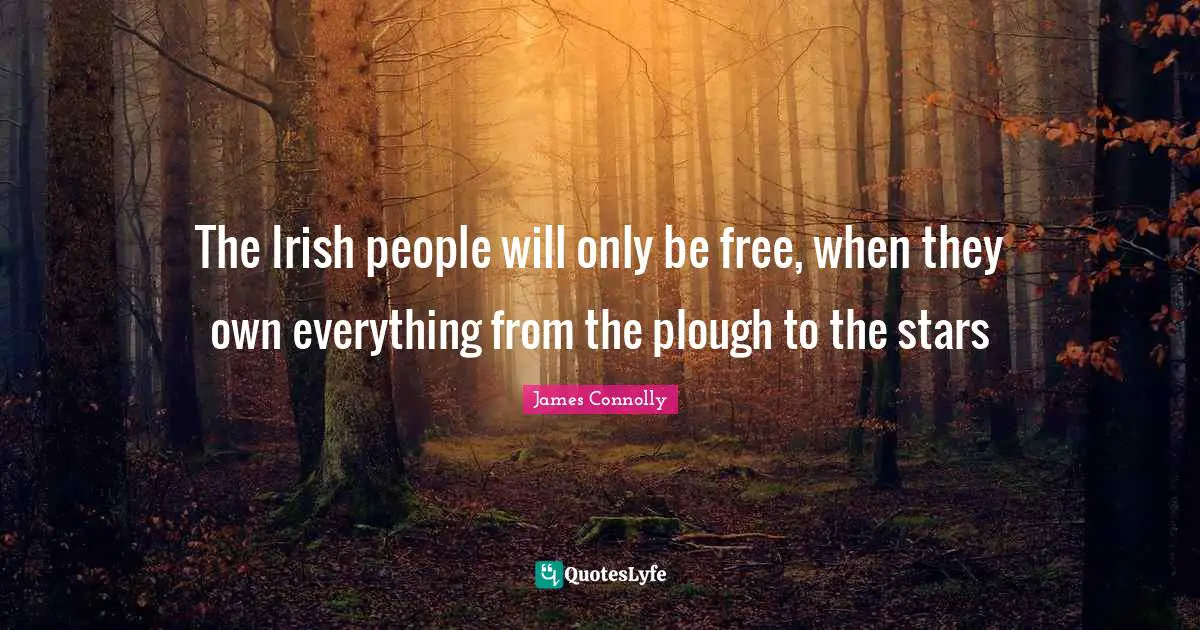 James Connolly Quotes: The Irish people will only be free, when they own everything from the plough to the stars