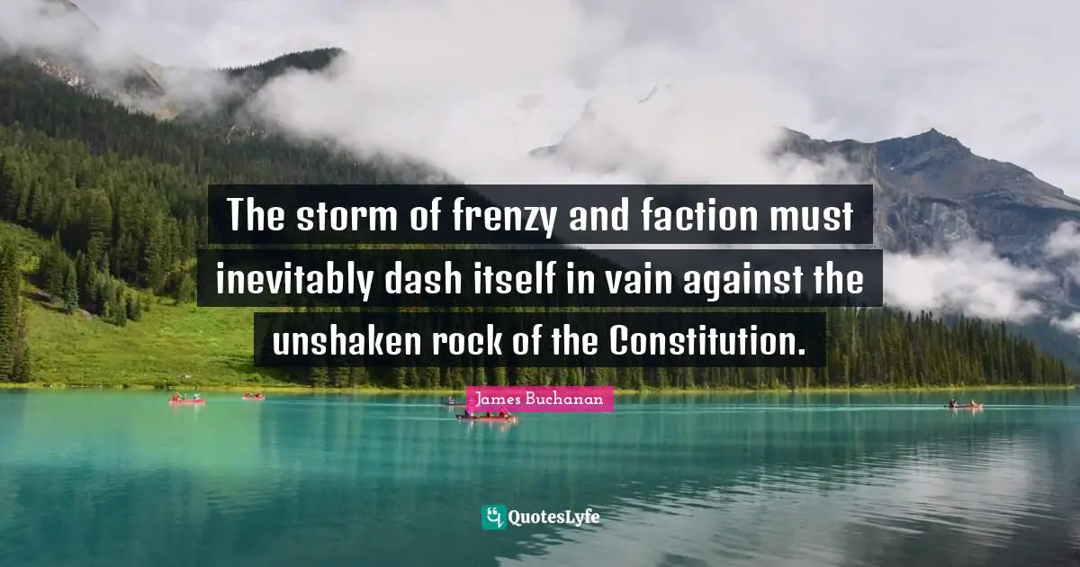 The storm of frenzy and faction must inevitably dash itself in vain against the unshaken rock of the Constitution.