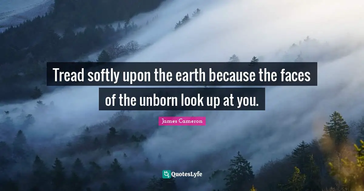 Tread softly upon the earth because the faces of the unborn look up at you.