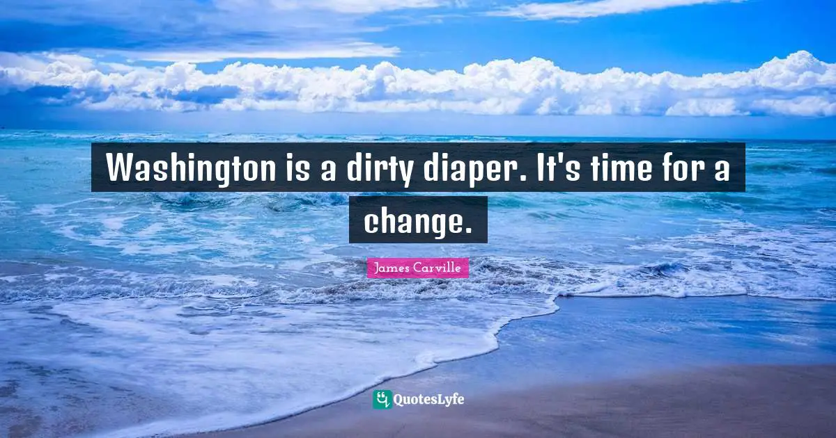 Washington is a dirty diaper. It's time for a change.