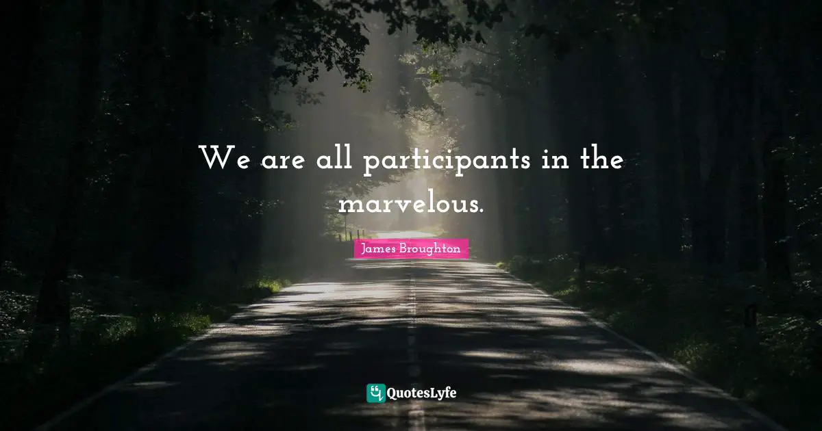 We are all participants in the marvelous.
