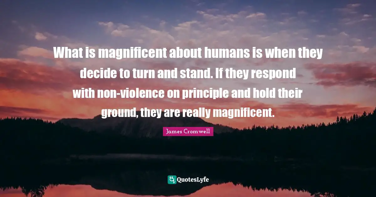 What is magnificent about humans is when they decide to turn and stand. If they respond with non-violence on principle and hold their ground, they are really magnificent.