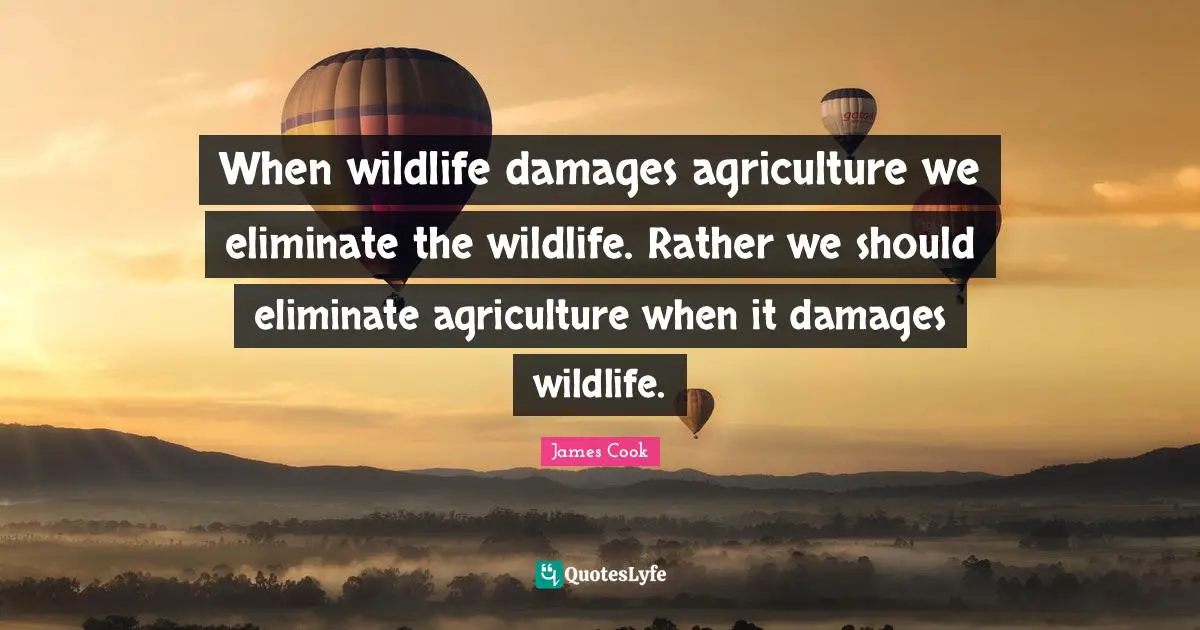 When wildlife damages agriculture we eliminate the wildlife. Rather we should eliminate agriculture when it damages wildlife.
