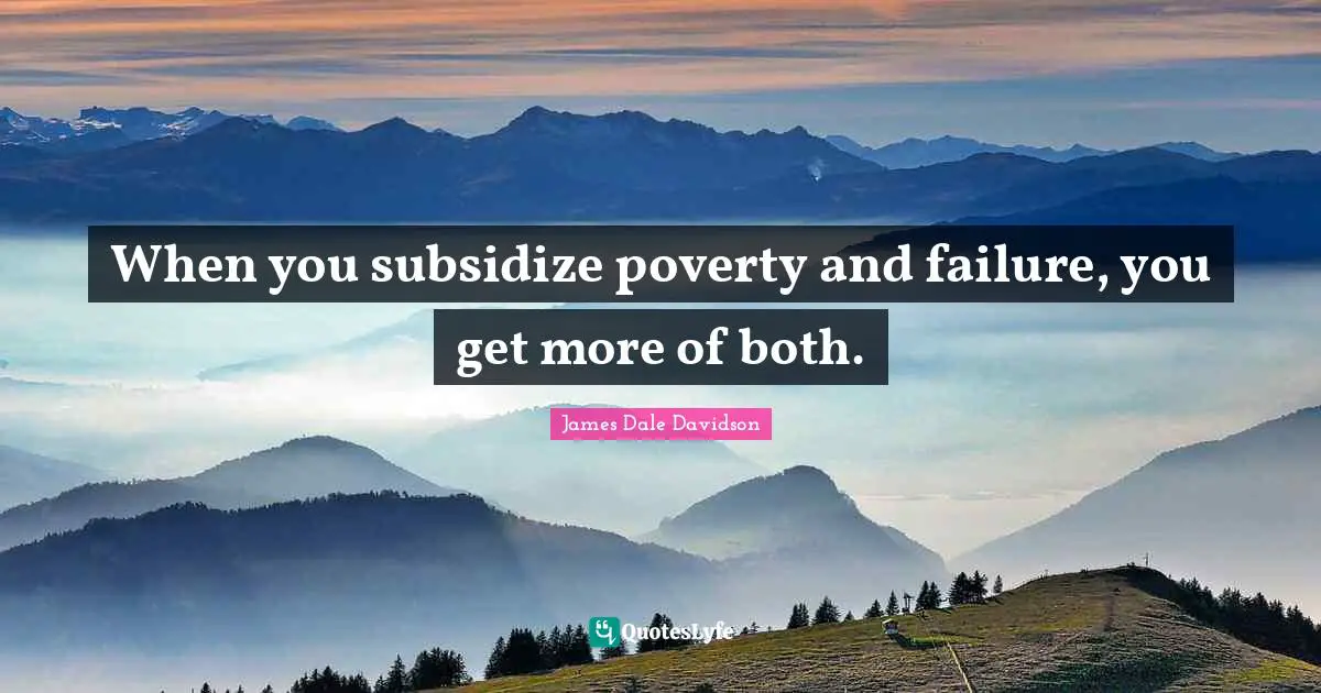 When you subsidize poverty and failure, you get more of both.