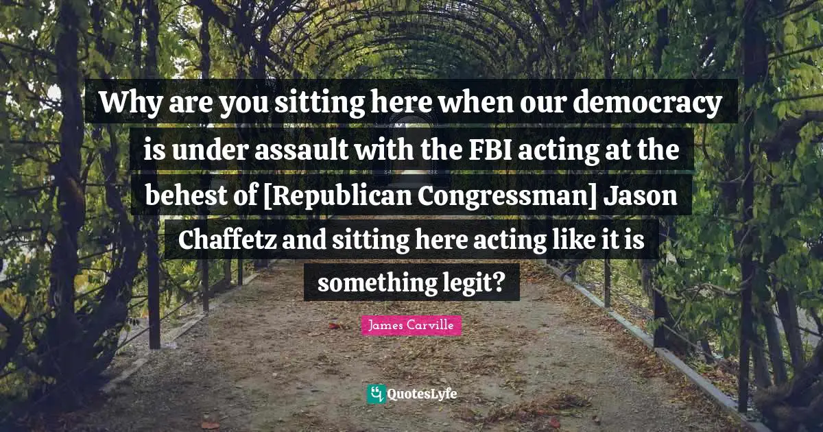 Why are you sitting here when our democracy is under assault with the FBI acting at the behest of [Republican Congressman] Jason Chaffetz and sitting here acting like it is something legit?