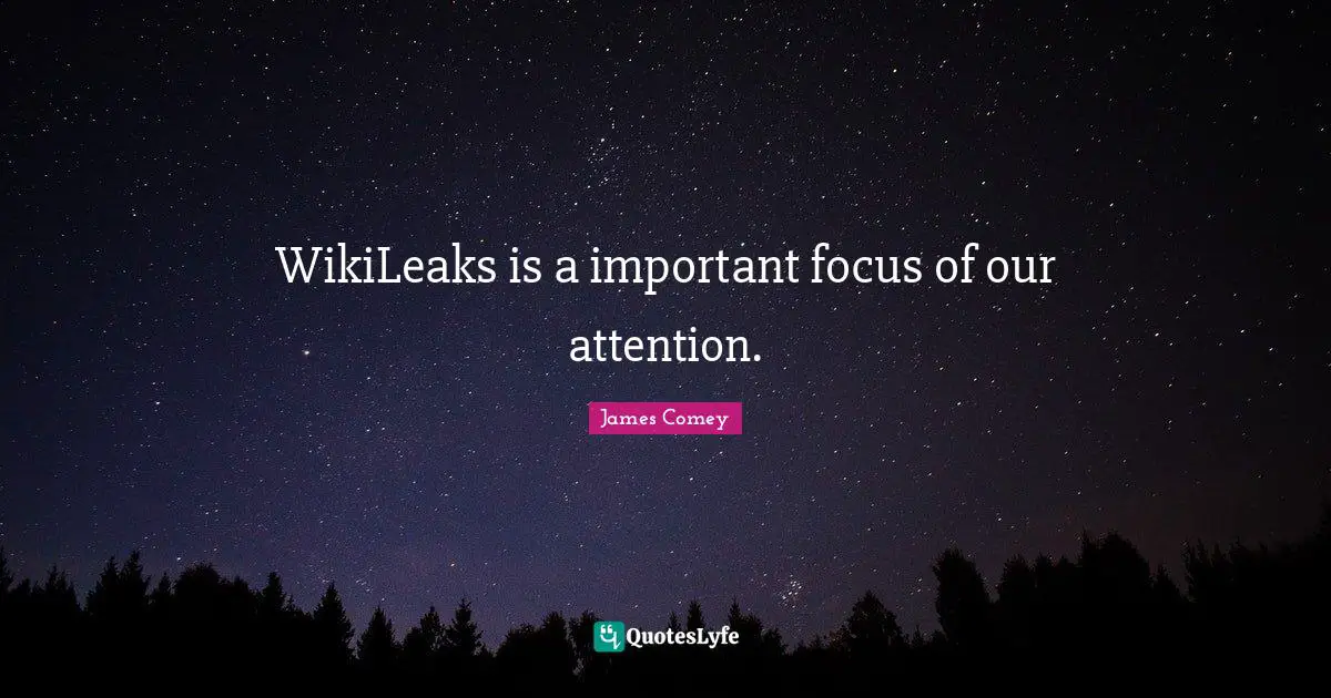 WikiLeaks is a important focus of our attention.