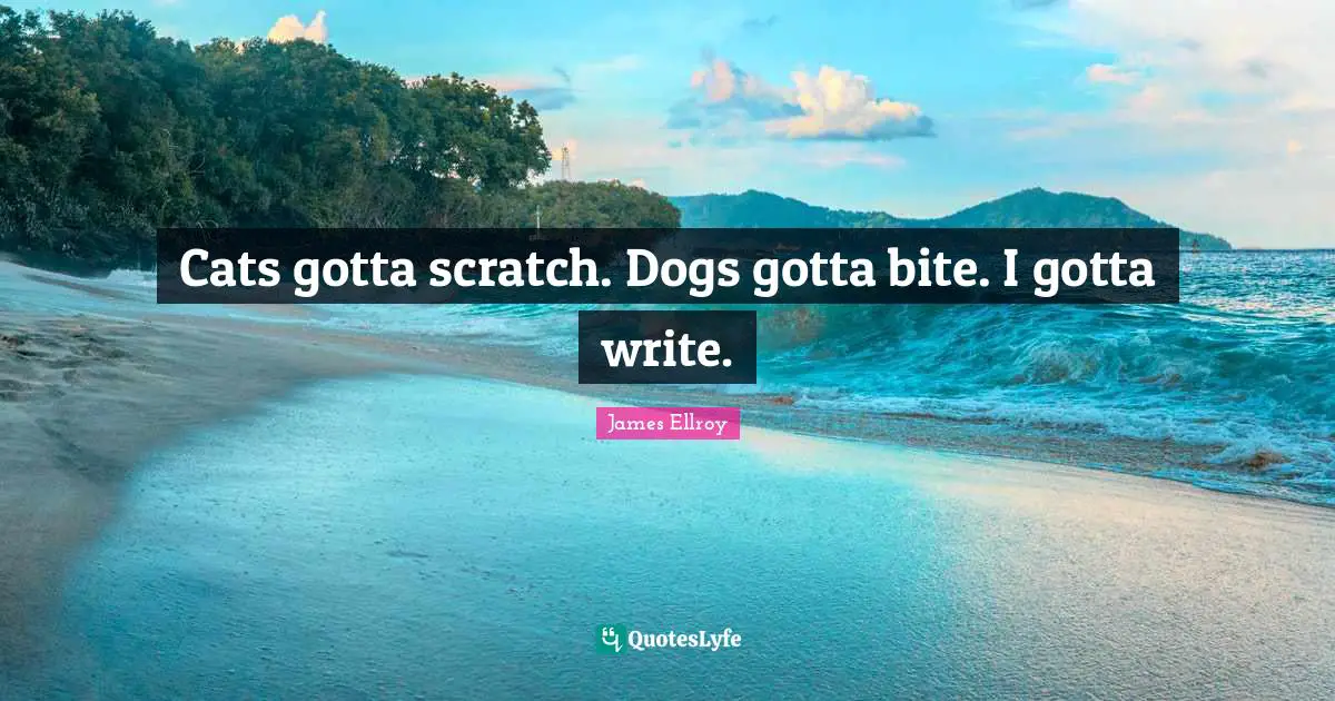 Cats gotta scratch. Dogs gotta bite. I gotta write.