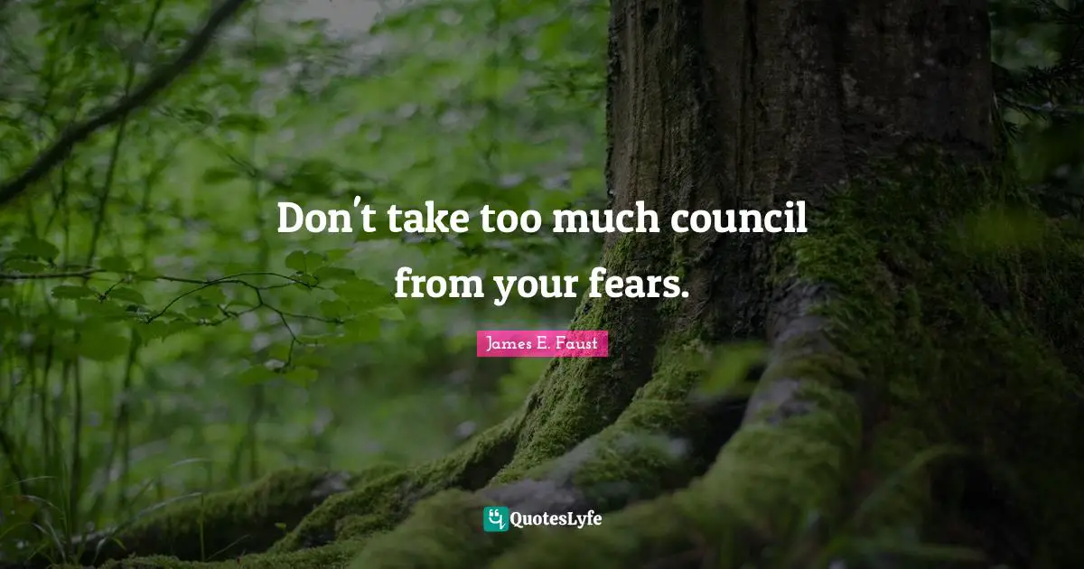 Don't take too much council from your fears.