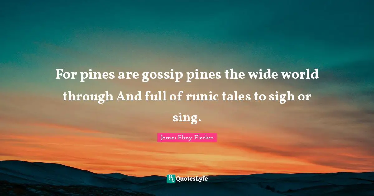 For pines are gossip pines the wide world through And full of runic tales to sigh or sing.