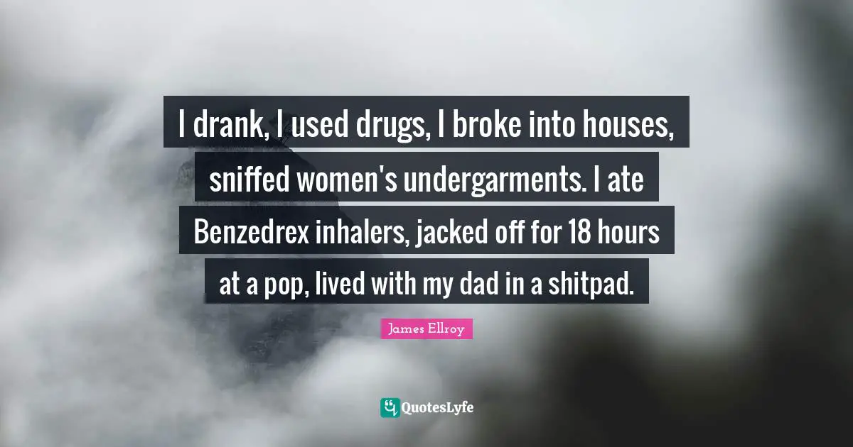 I drank, I used drugs, I broke into houses, sniffed women's undergarments. I ate Benzedrex inhalers, jacked off for 18 hours at a pop, lived with my dad in a shitpad.