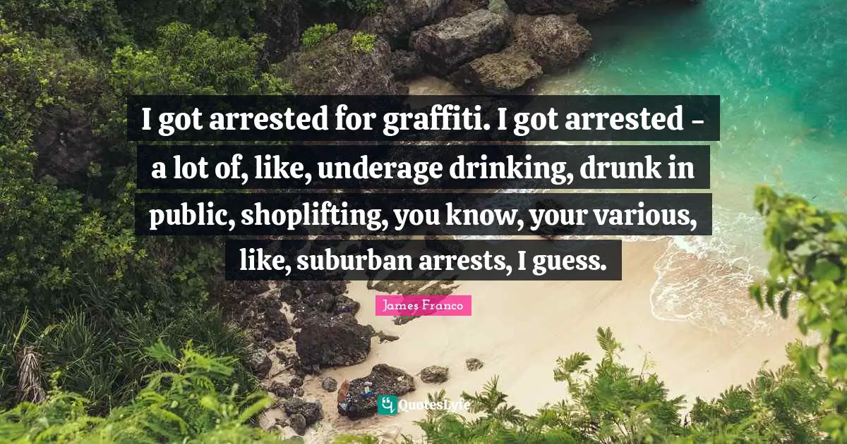I got arrested for graffiti. I got arrested - a lot of, like, underage drinking, drunk in public, shoplifting, you know, your various, like, suburban arrests, I guess.