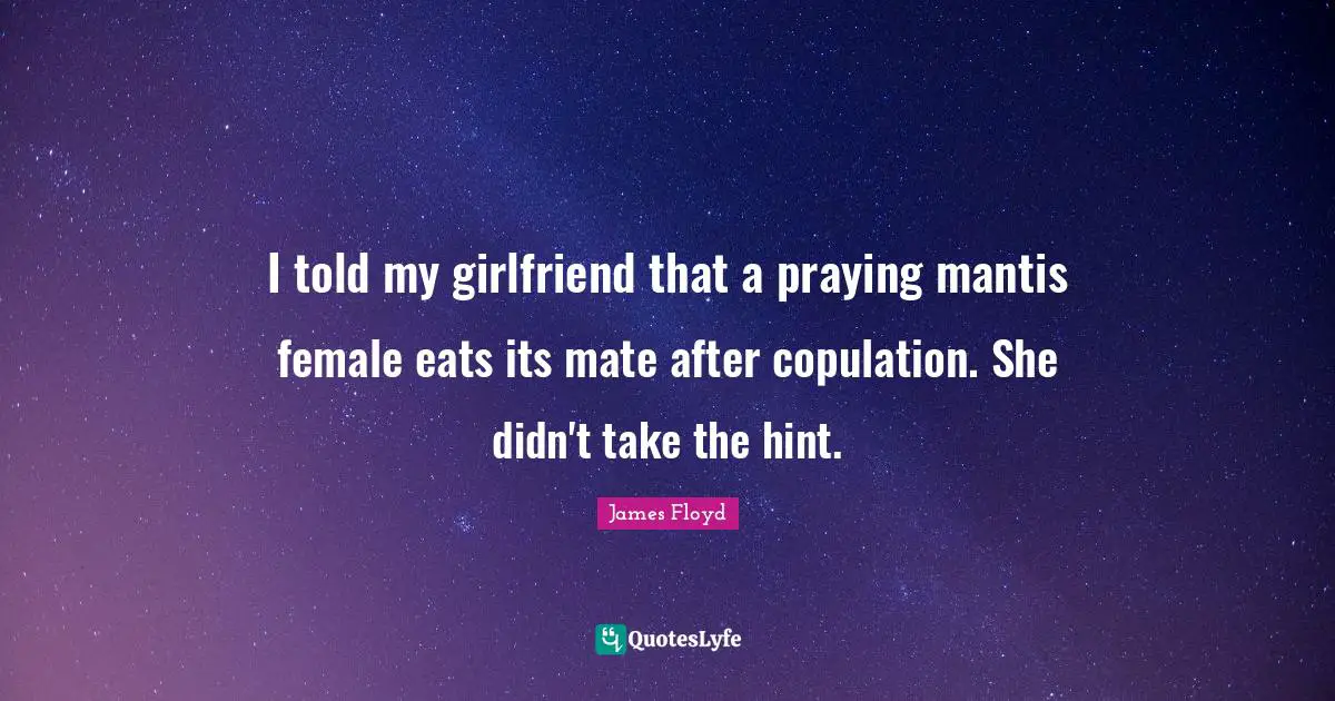 I told my girlfriend that a praying mantis female eats its mate after copulation. She didn't take the hint.
