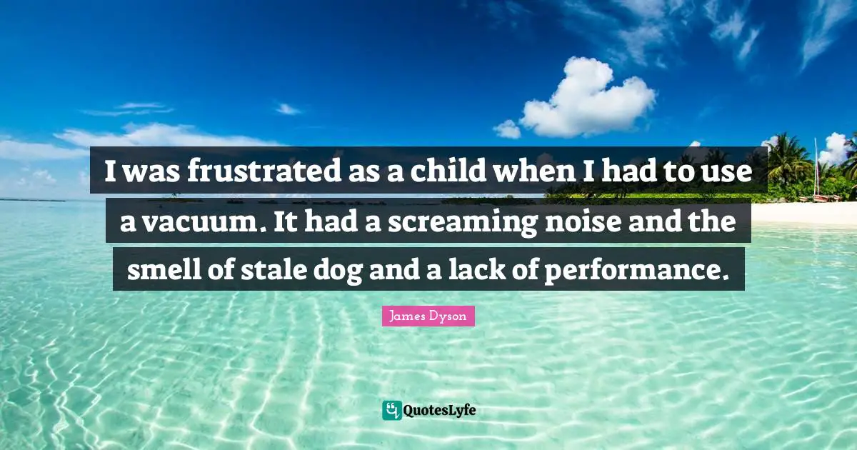 I was frustrated as a child when I had to use a vacuum. It had a screaming noise and the smell of stale dog and a lack of performance.