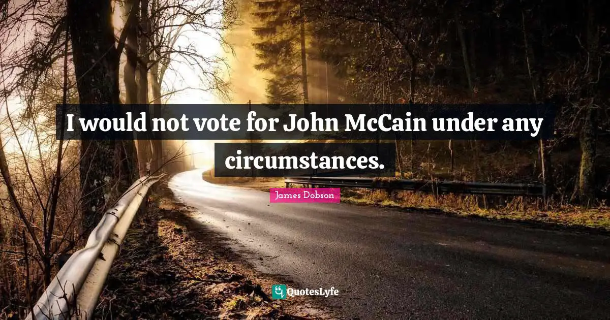 I would not vote for John McCain under any circumstances.
