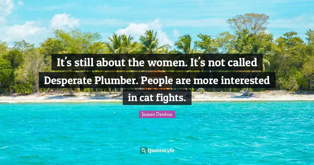 It's still about the women. It's not called Desperate Plumber. People are more interested in cat fights.
