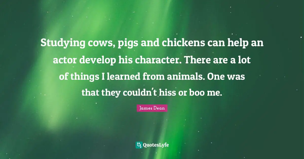 James  Dean Quotes: "Studying cows, pigs and chickens can help an actor develop his character. There are a lot of things I learned from animals. One was that they couldn't hiss or boo me."
