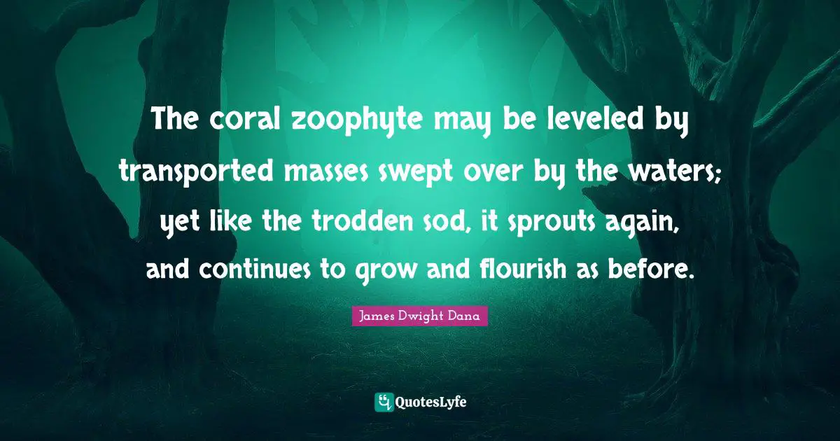 The coral zoophyte may be leveled by transported masses swept over by the waters; yet like the trodden sod, it sprouts again, and continues to grow and flourish as before.