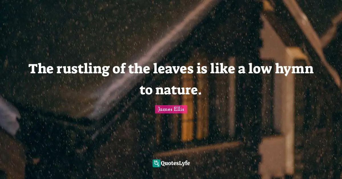 The rustling of the leaves is like a low hymn to nature.