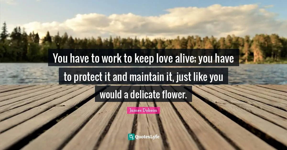 You have to work to keep love alive; you have to protect it and maintain it, just like you would a delicate flower.