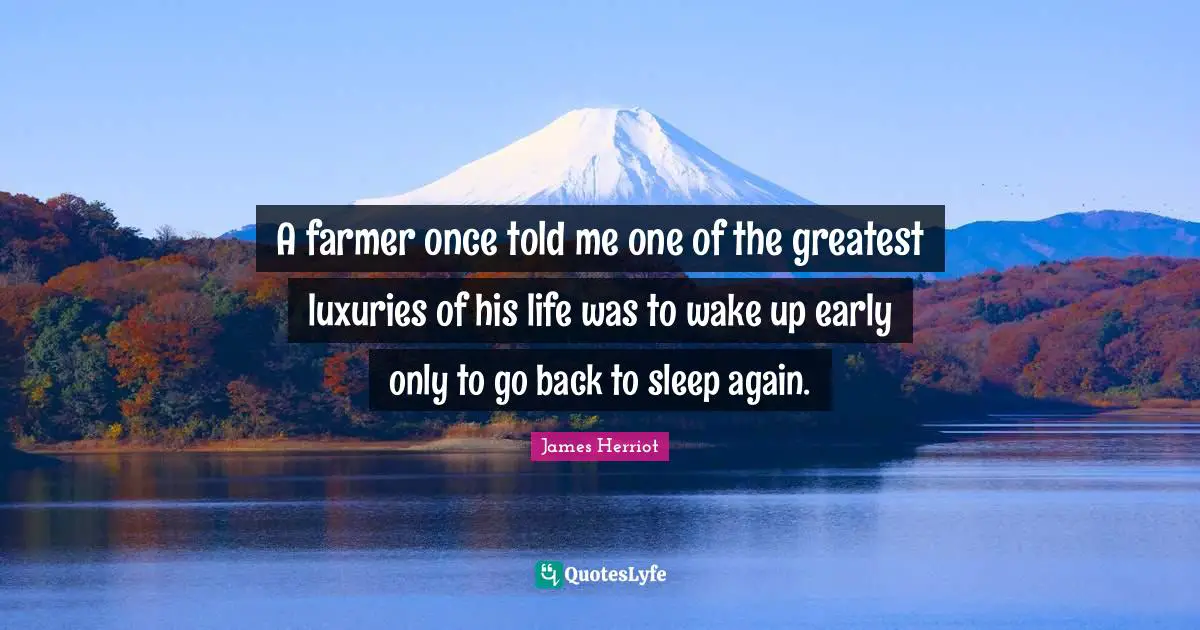 A farmer once told me one of the greatest luxuries of his life was to wake up early only to go back to sleep again.