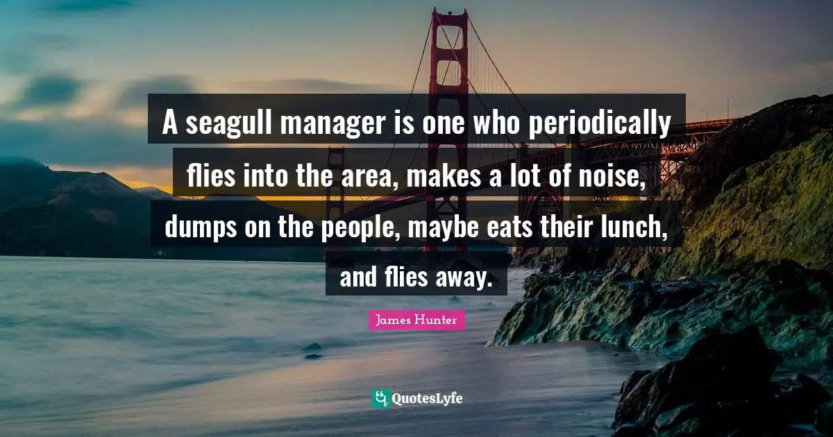 Seagull Quotes: "A seagull manager is one who periodically flies into the area, makes a lot of noise, dumps on the people, maybe eats their lunch, and flies away."