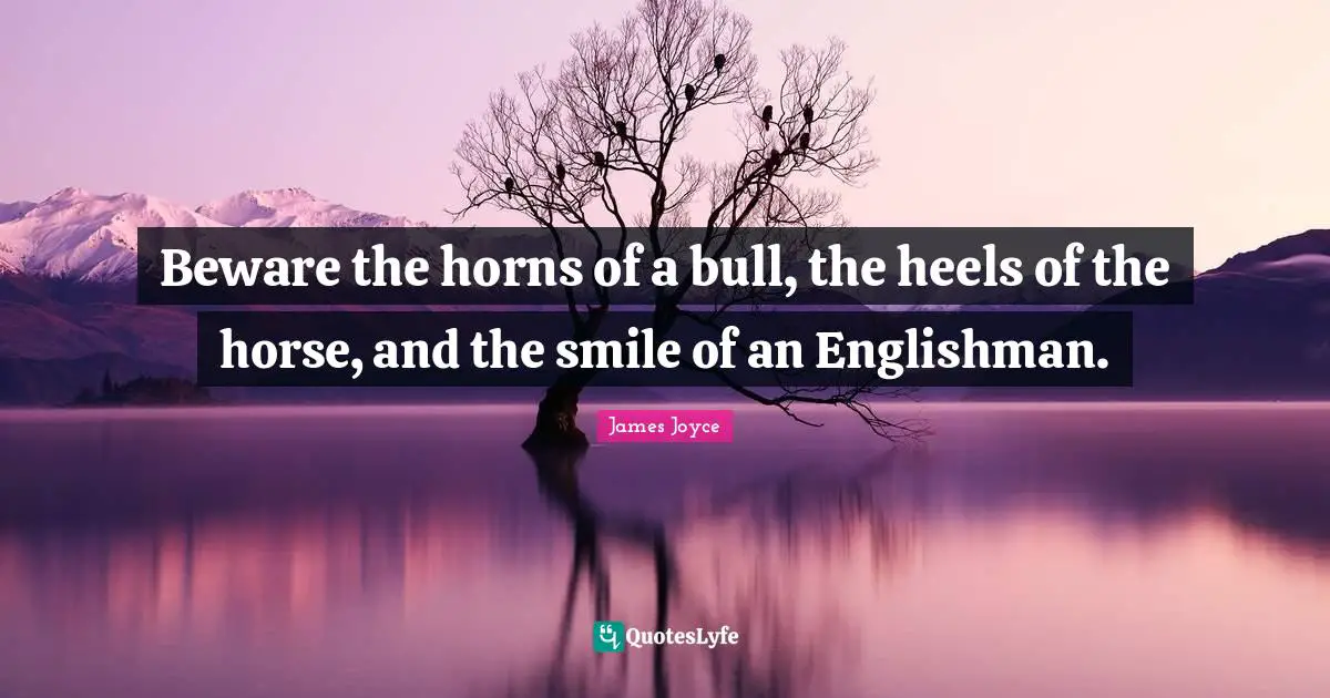 Beware the horns of a bull, the heels of the horse, and the smile of an Englishman.