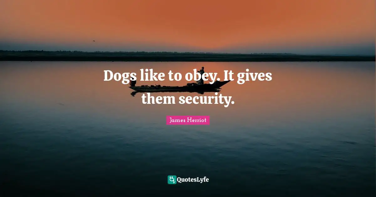 Dogs like to obey. It gives them security.
