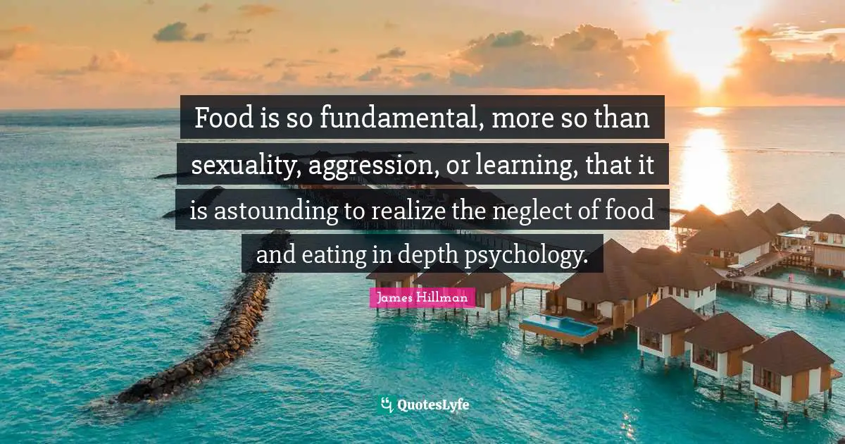 Food is so fundamental, more so than sexuality, aggression, or learning, that it is astounding to realize the neglect of food and eating in depth psychology.