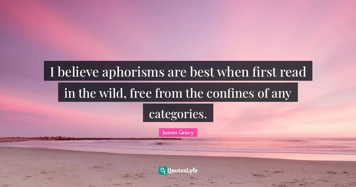 I believe aphorisms are best when first read in the wild, free from the confines of any categories.