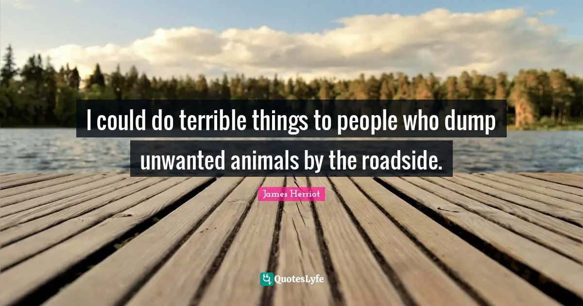 I could do terrible things to people who dump unwanted animals by the roadside.
